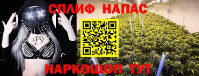 амф Ярославль